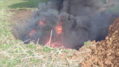 Погибших животных на предприятии в Западнодвинском районе сожгли в специальной яме