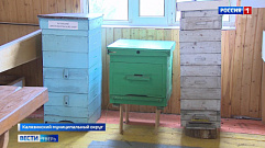 Более ста экспонатов представлено в музее пчеловодства в Тверской области