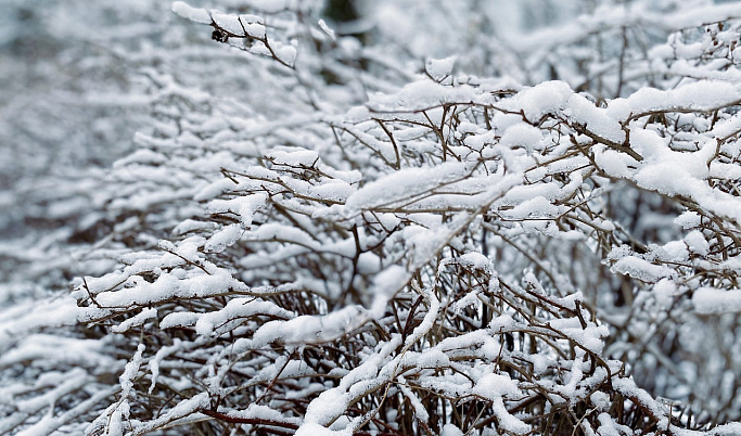 В Тверскую область придут снегопады и морозы до -30 °С