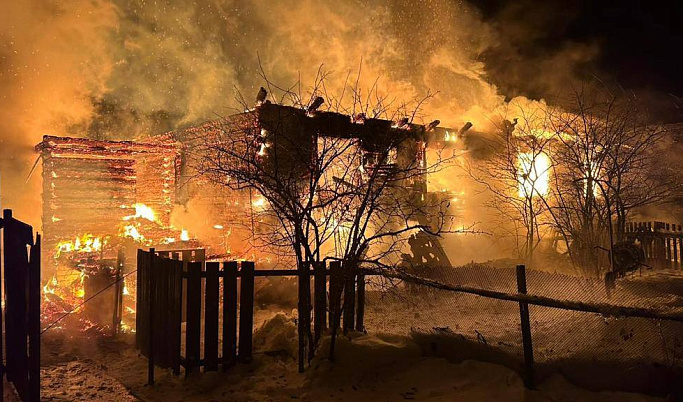 В Рамешковском округе в пожаре погибли трое несовершеннолетних