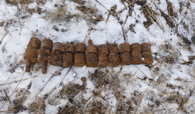 В Тверской области нашли 22 противотанковые гранаты времён войны