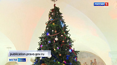 В Тверской области ужесточат требования к установке новогодних елок