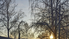 22 декабря световой день в Тверской области продлится всего 7 часов