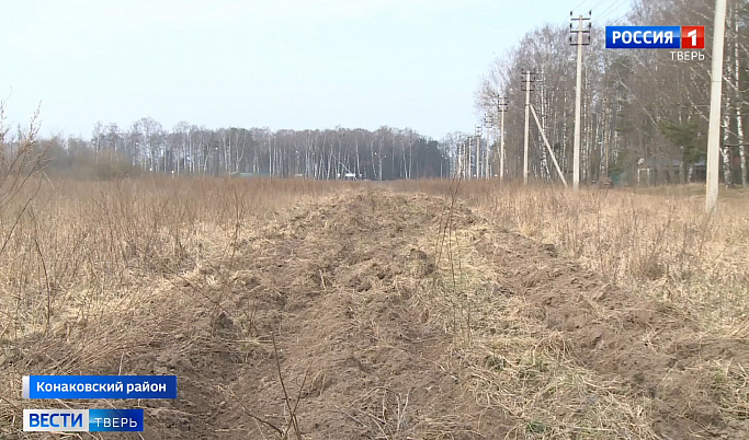В Тверской области снова горят заброшенные поля и пастбища