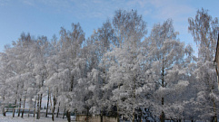 В Тверскую область придут ночные морозы до -22 градусов