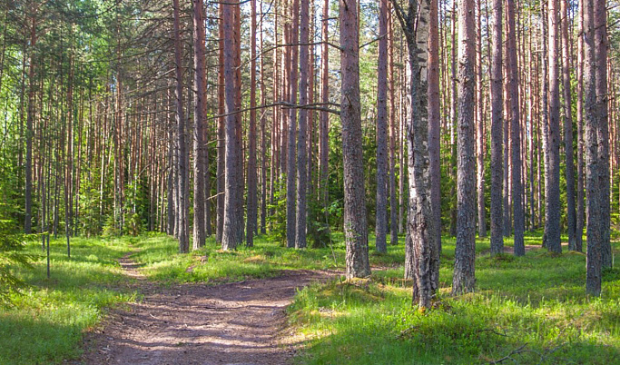 В Тверской области утвердили границы ещё 15 особо охраняемых природных территорий