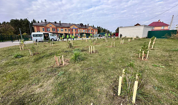 В Тверской области в рамках акции «Сохраним лес» высадили более 377 тыс. саженцев и сеянцев деревьев