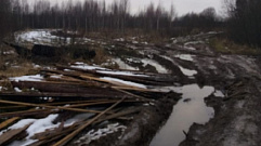 Под Максатихой незаконно вырубили лес почти на 2,5 млн рублей 
