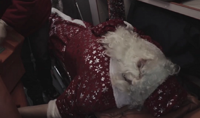 Врачи тверской «скорой» сняли видео о Деде Морозе, заболевшем коронавирусом
