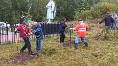 В Тверской области проведено озеленение территории воинского захоронения саженцами рябин и берез