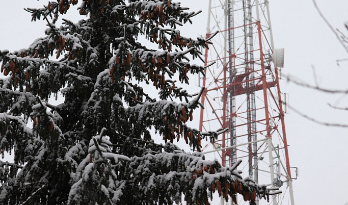 МЧС предупредило жителей Твери о намёрзшем льде на проводах и деревьях