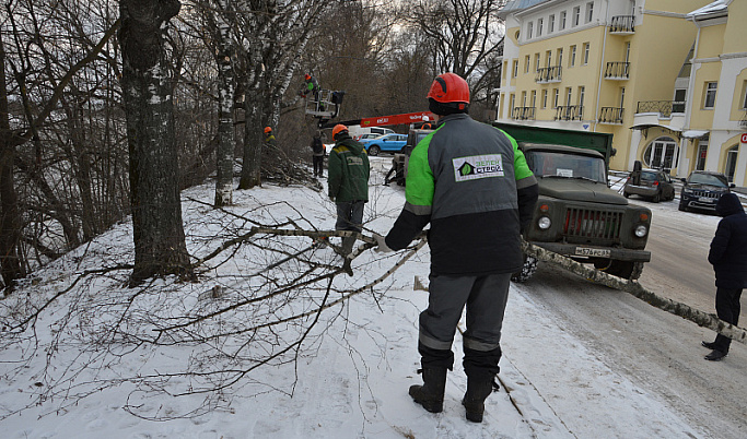 В Твери начались работы по обрезке деревьев