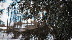 Морозы или глобальное потепление: синоптик рассказала о погоде в Тверской области