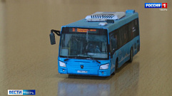 «Транспорт Верхневолжья» в миниатюре: студент сделал из бумаги модель синего автобуса