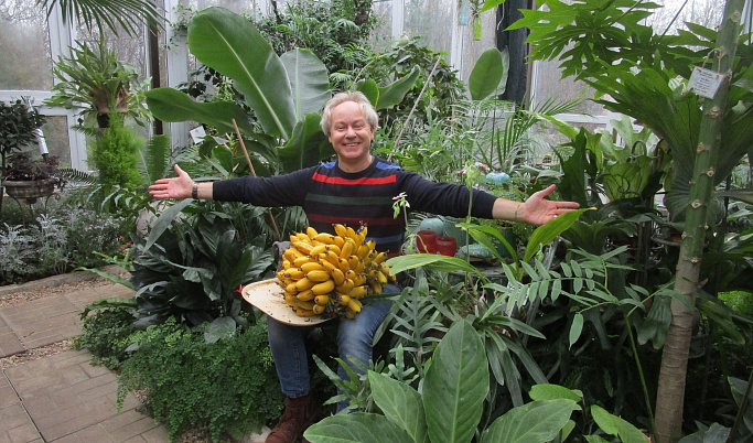 Ботанический сад приглашает тверитян на дегустацию бананов