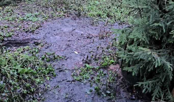В деревне Тверской области канализационные отходы и нефтепродукты стекают прямо в реку
