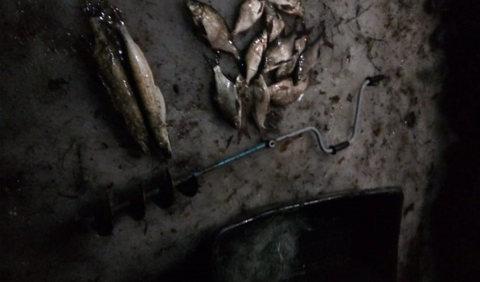 Рыбака-браконьера задержали в Тверской области