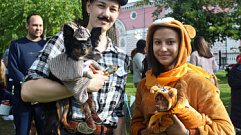 Жителей Твери 14 августа приглашают в Горсад на парад собак