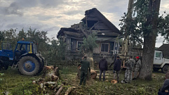 Из-за упавшего дерева семья в Тверской области три недели жила без крыши над головой