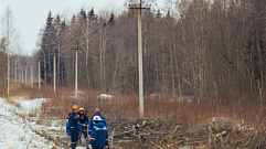 В Тверской области энергетики планируют расчистить более 2284 га трасс воздушных линий электропередачи