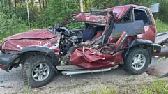 В Тверской области «Ниссан» вылетел в кювет и врезался в дерево, водитель погиб