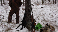 В Тверской области пресекают случаи незаконной охоты