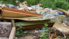 Жители двух деревень Тверской области выбрасывали мусор вдоль дороги и в лесополосе