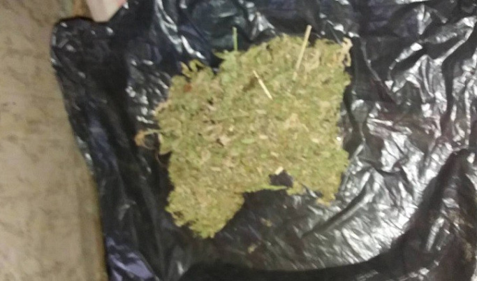 Полицейские нашли в гараже жителя Ржева марихуану