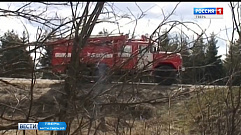 В Тверской области потушили лесной пожар