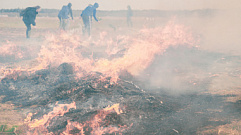 Для тушения пожаров в Тверской области будут применять авиацию