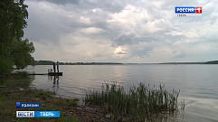 В водоемы Тверской области планируют выпустить около 4 млн мальков рыб