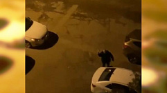 В Заволжском районе Твери мужчина разбил топором 6 автомобилей