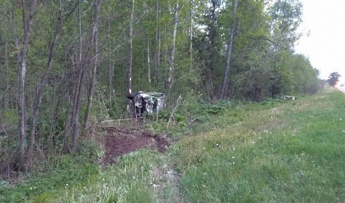 На трассе в Тверской области машина столкнулась с лосем