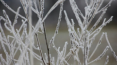 С 1 по 4 января на Тверскую область нагрянут морозы до -28 градусов