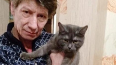 В Тверской области 12 животных стерилизовали по проекту «Бабушка для кошки»