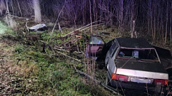 На Московском шоссе Твери после столкновения с деревом погиб водитель