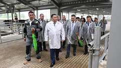В Тверской области завершается строительство молочно-товарной фермы «РУМЕЛКО-АГРО» 