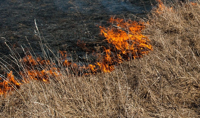 Жителей Тверской области призвали быть осторожными и соблюдать правила пожарной безопасности