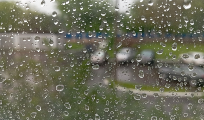 Сильный дождь ожидается в Тверской области 26 июля