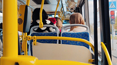 «Транспорт Верхневолжья» объяснил, как перевозить животных в автобусах