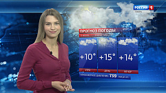 В Тверской области до 15 градусов тепла и дождь