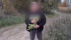 В Тверской области сотрудников «Почты России» наказали за кукурузу