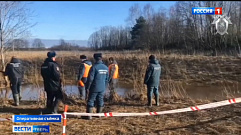 В Тверской области завершено расследование уголовного дела о гибели 7-летней девочки