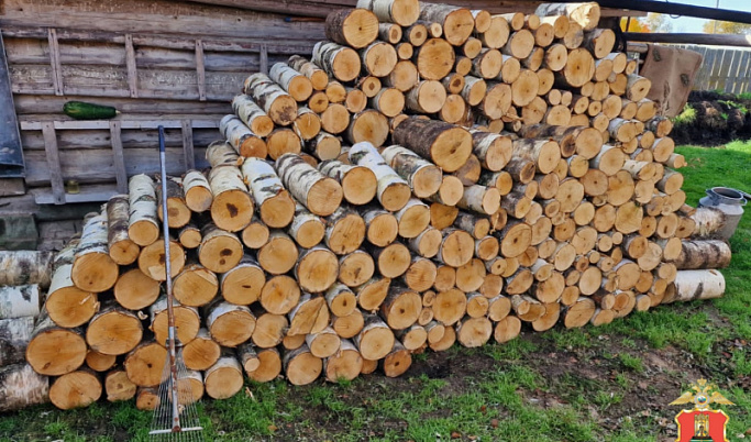 64-летний мужчина срубил 32 дерева в Максатихинском округе и оказался фигурантом дела