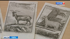 Более 5 тысяч уникальных экспонатов представлено в музее козла в Твери                                                        