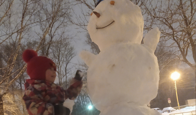 Жителям Тверской области предлагают поучаствовать во флешмобе «Наш семейный снеговик»