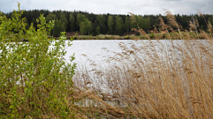 В реке в Тверской области утонул 73-летний мужчина
