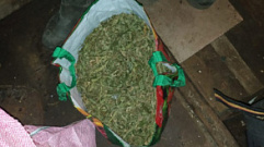 На улице в Кимрах задержан мужчина, хранивший дома пакет марихуаны