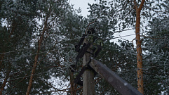Многодетной семье выдали земельной участок без электричества в Тверской области
