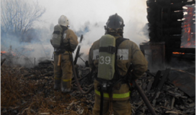 Огонь уничтожил дачный дом в Тверской области